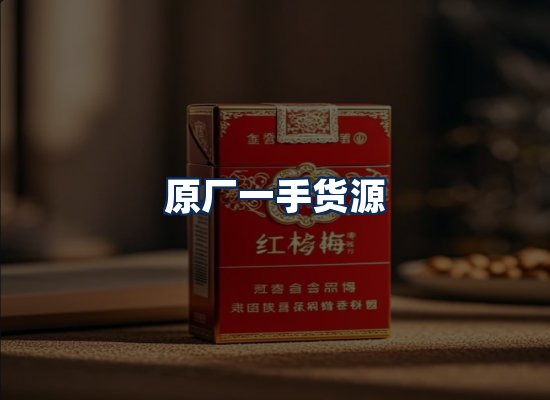 专业团队办公环境